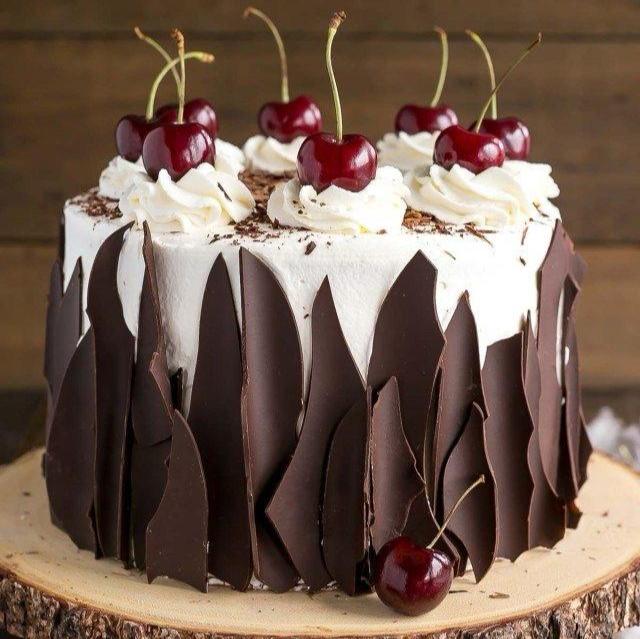 Big black forest